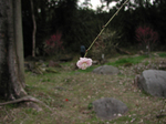 P3050944.JPG
